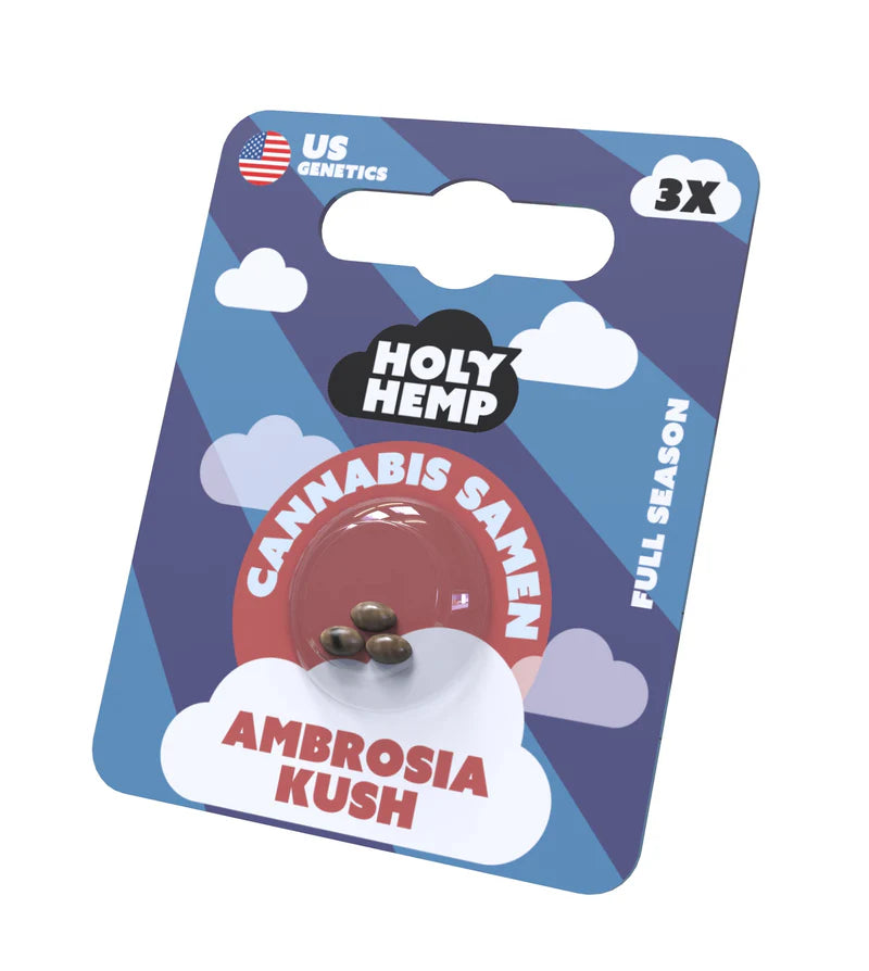 Holy Hemp US Cannabis Samen - Ambrosia Kush - 3 Stück