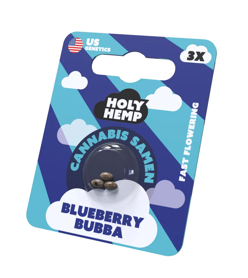Holy Hemp US Cannabis Samen - Blueberry Bubba - 3 Stück