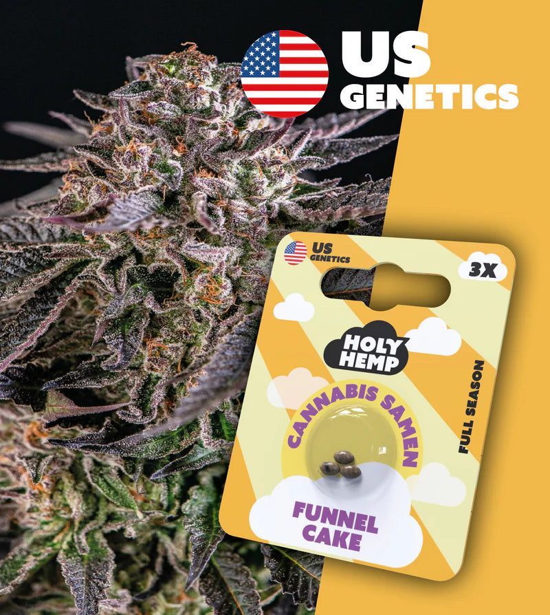 Holy Hemp US Cannabis Samen - Funnel Cake - 3 Stück