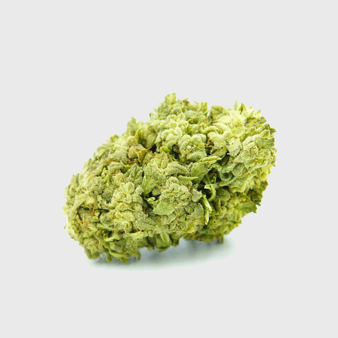 Frosted Cookies 55 % 10HC