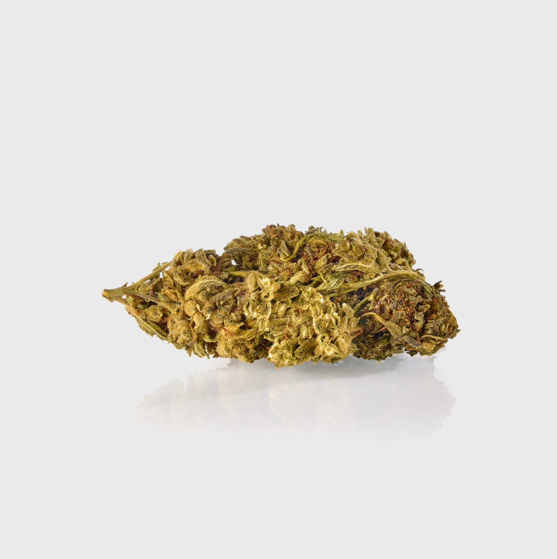Guerillas Gusto 20 % 10HC