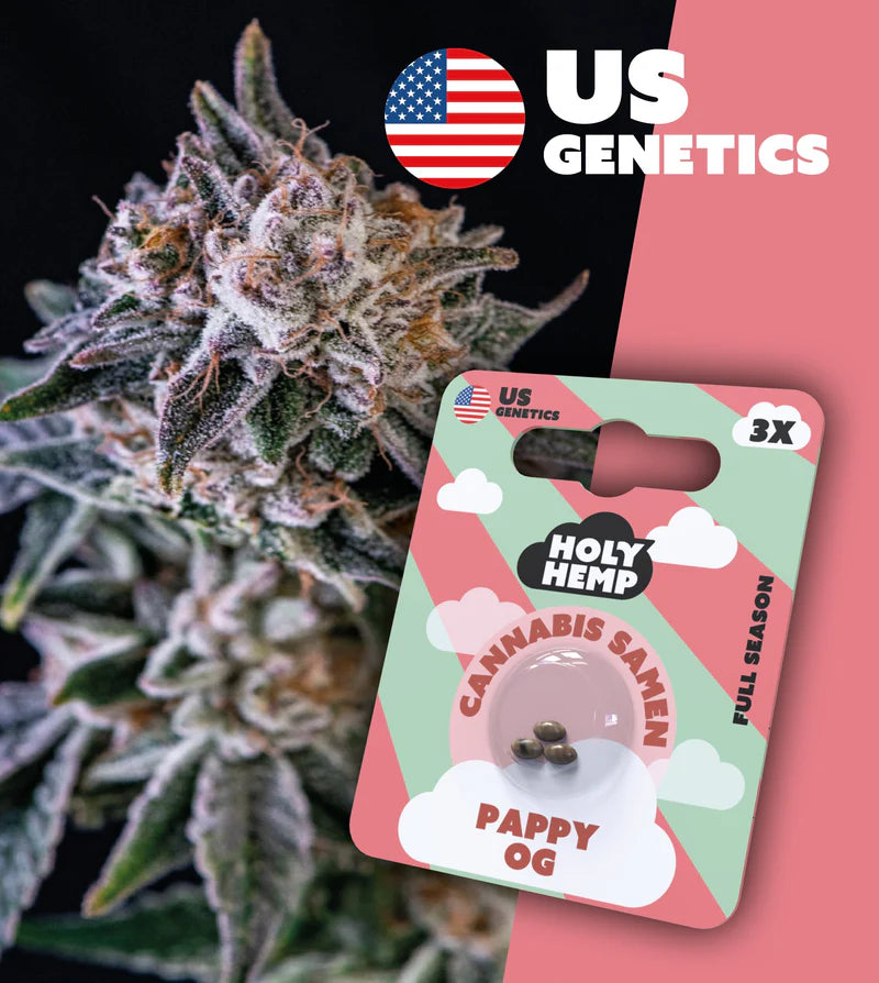 Holy Hemp US Cannabis Samen - Pappy OG - 3 Stück