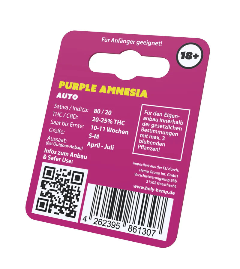 Holy Hemp US Cannabis Samen - Purple Amnesia - 3 Stück