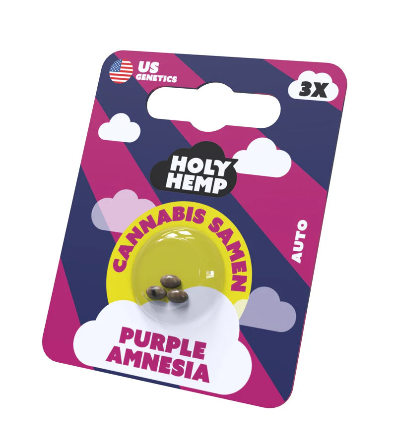 Holy Hemp US Cannabis Samen - Purple Amnesia - 3 Stück