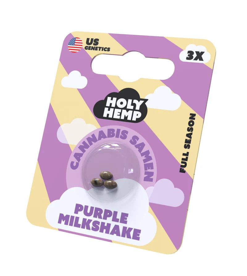 Holy Hemp US Cannabis Samen - Purple Milkshake - 3 Stück