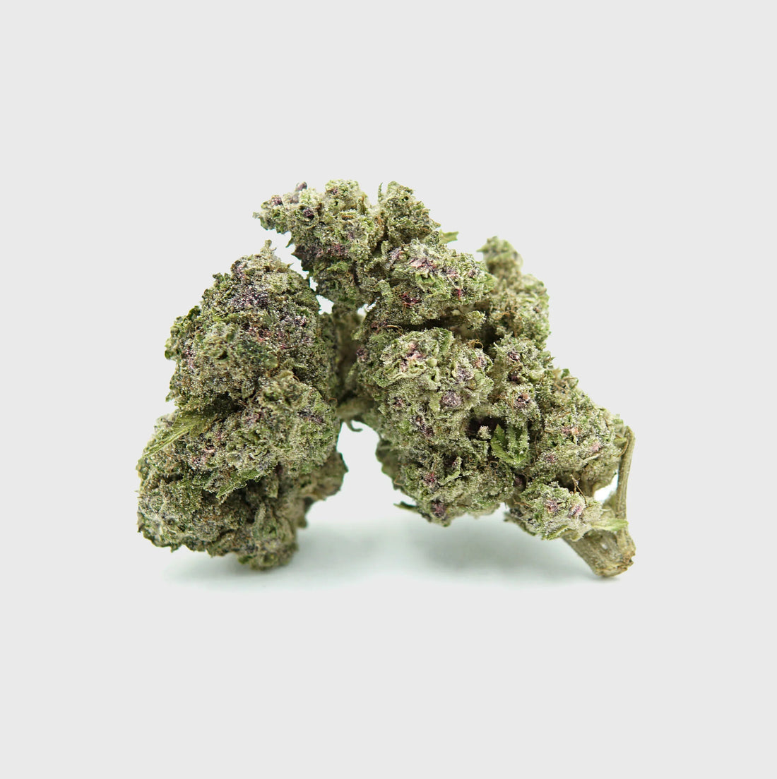 Purple Cali Dash 17 % CBG