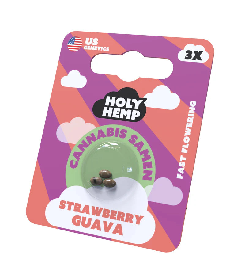 Holy Hemp US Cannabis Samen - Strawberry Guava - 3 Stück