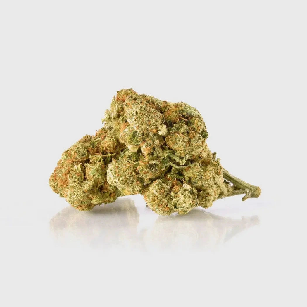 Amnesia 40 % 10HC Superior