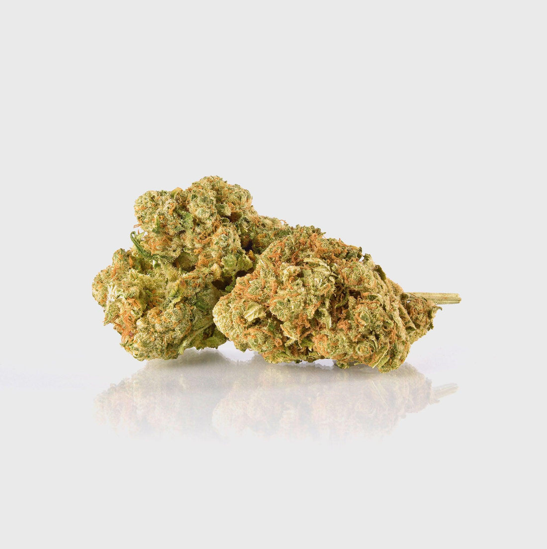 Amnesia 40 % 10HC Superior