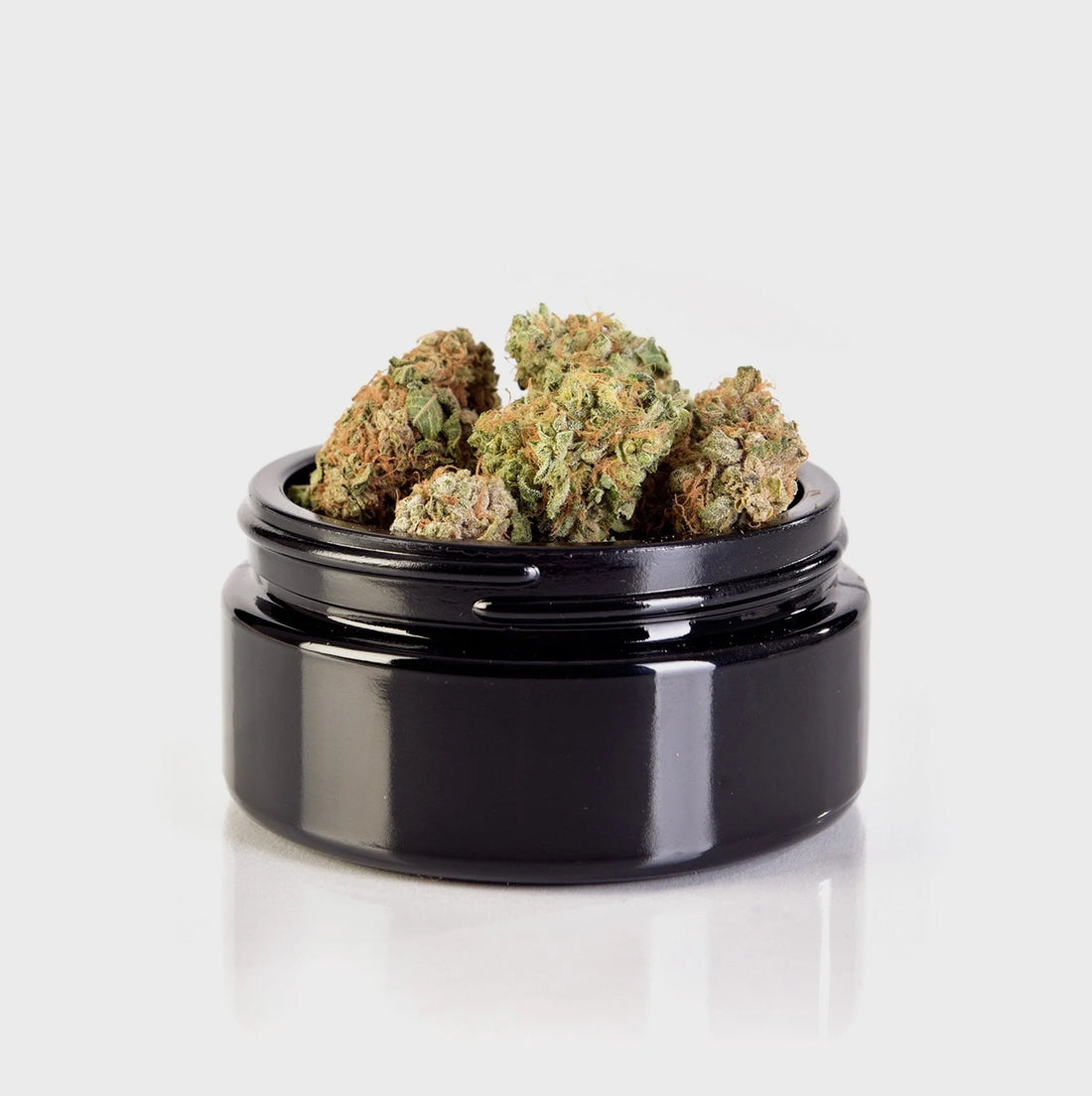 Doctor White 14 % CBG