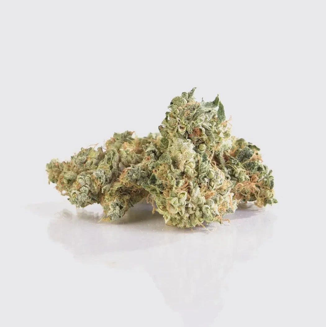 Doctor White 14 % CBG