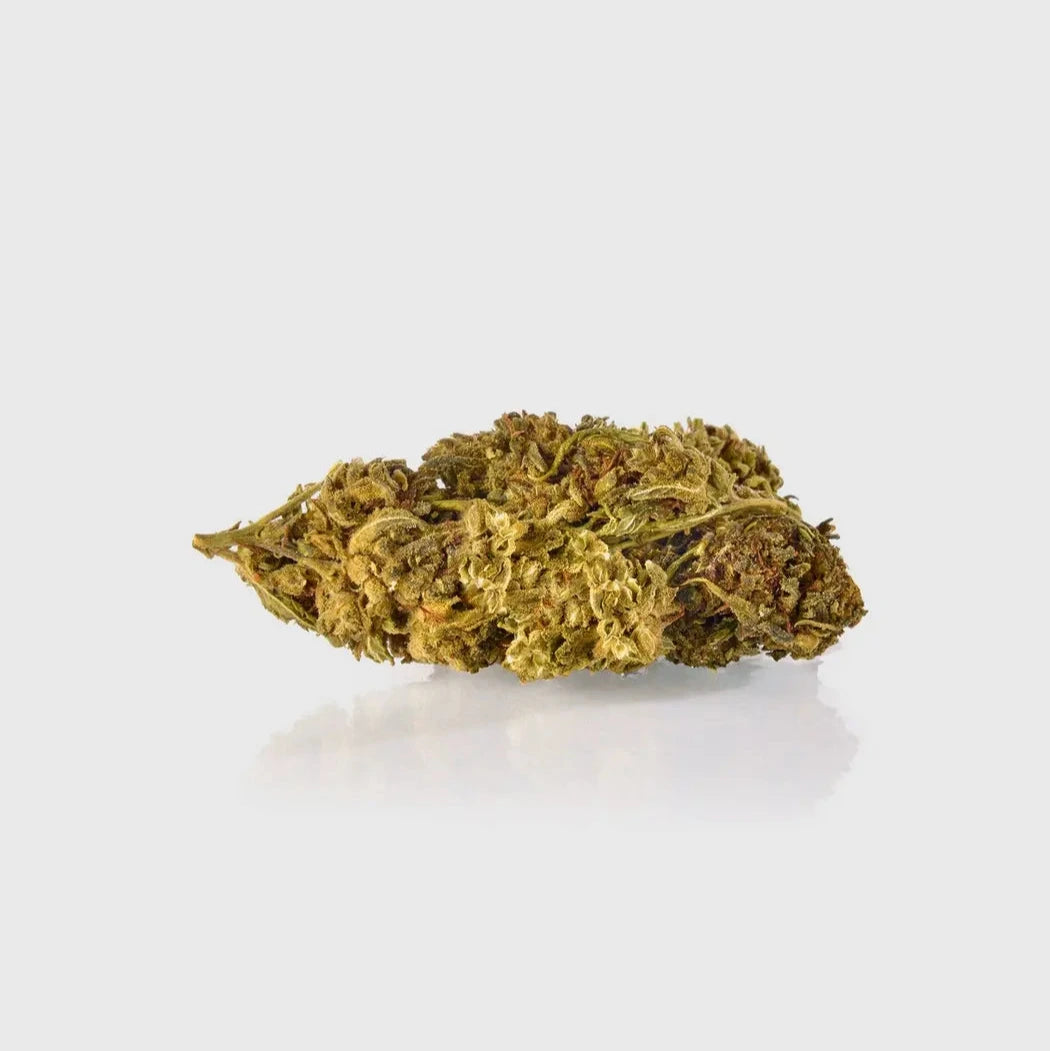 Guerillas Gusto 8 % CBG