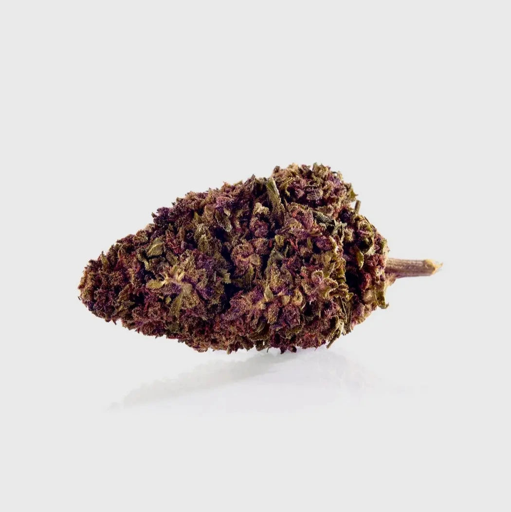 Purple Kinky Kush 40 % 10HC